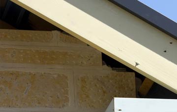 soffit repair Dertfords
